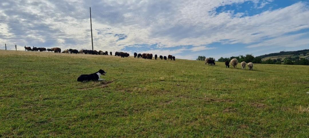 Pause Sur La Colline *