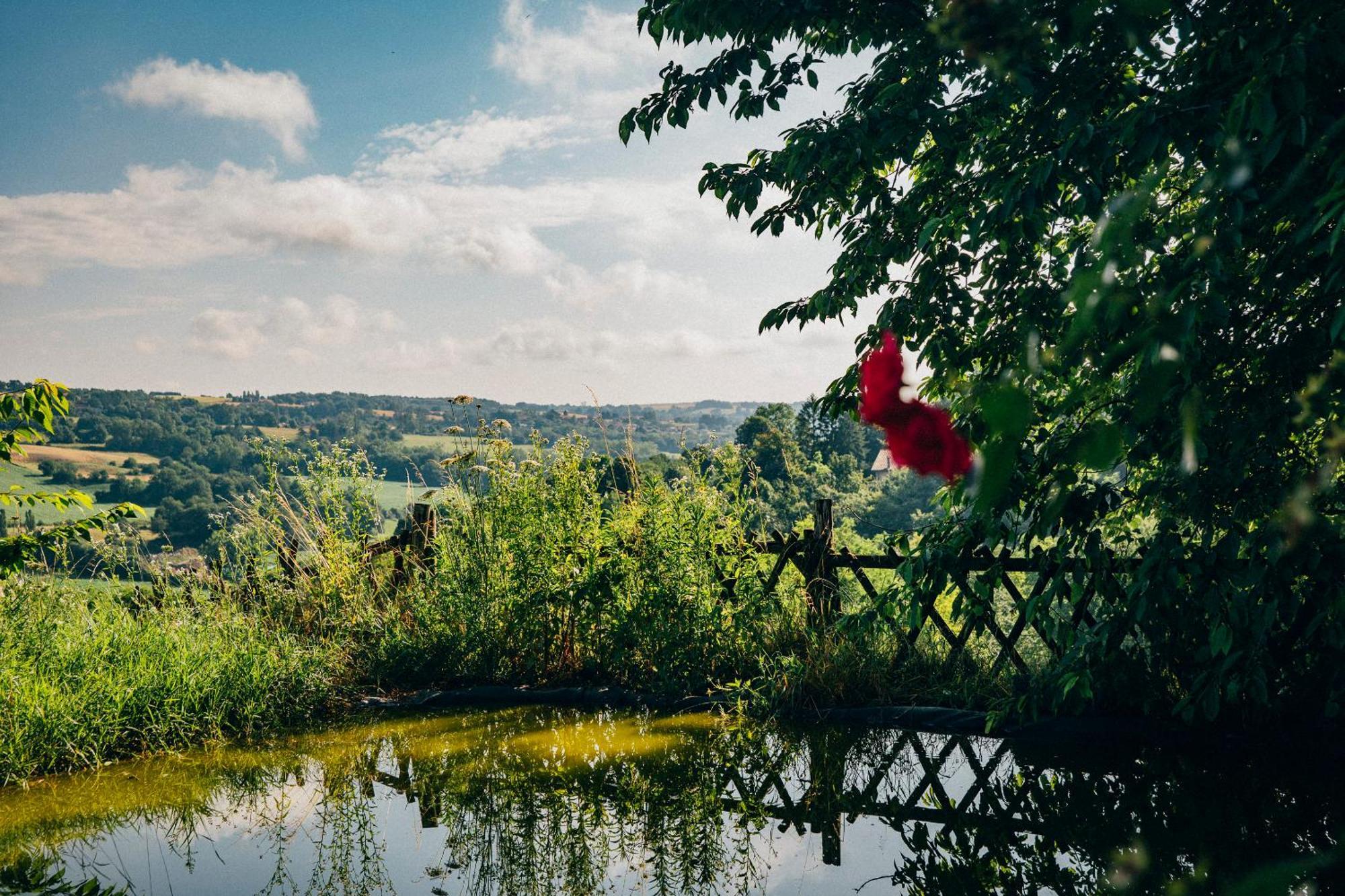 Pause Sur La Colline * Saint-Romain-de-Surieu