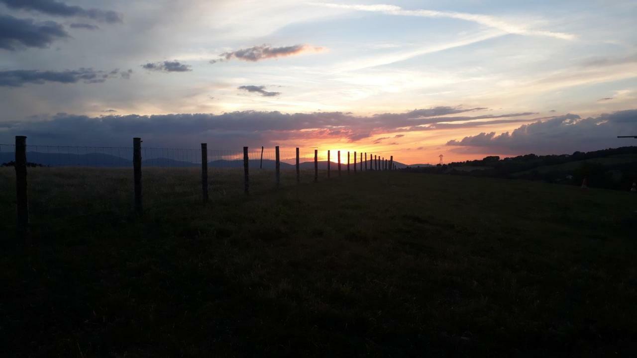 Pause Sur La Colline *
